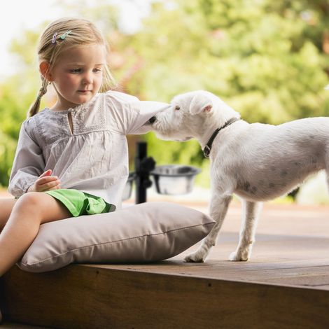 Relaxdays Stainless Steel Feeding Bowl, Set of 2, Height-Adjustable Stand, for Dogs, Non-Slip, 42 x 53 x 26 cm, Silver - 5