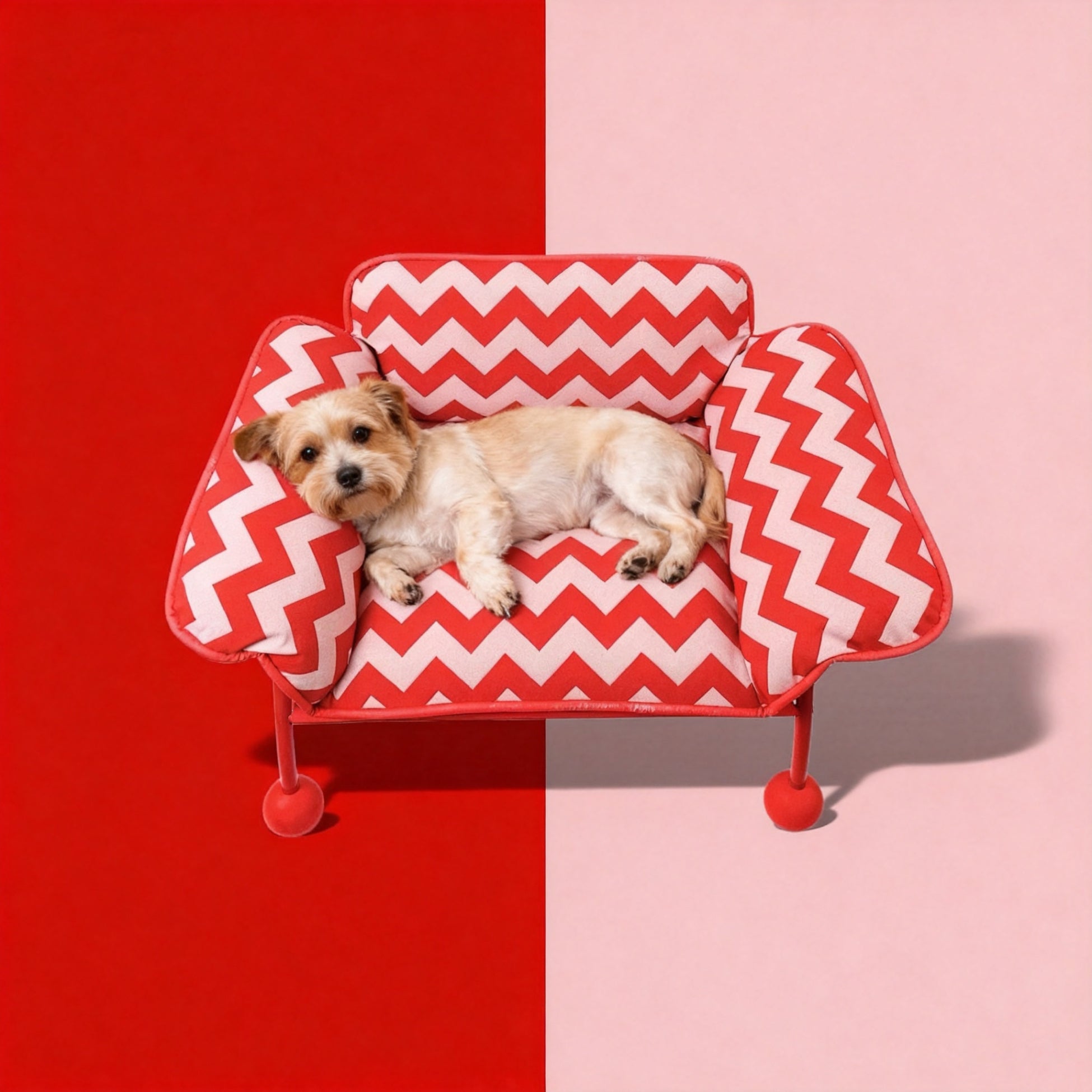 ScritchPets 2 in 1 Pet Sofa Hammock
