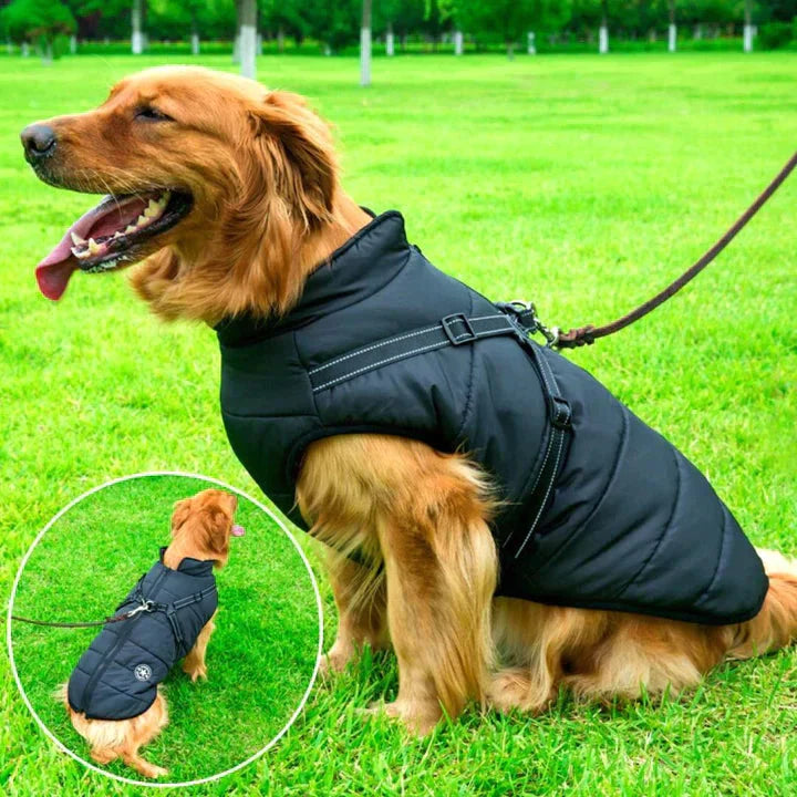 ScritchPets Waterproof Dog Jacket with Harness