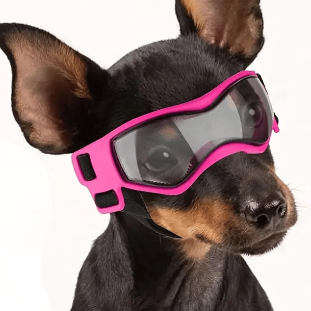 ScritchPets UV Dog Goggles for Small Breeds