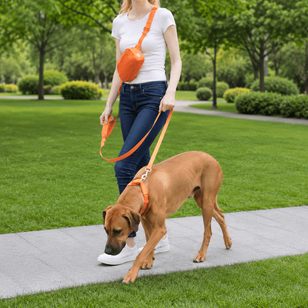 ScritchPets 5 Piece Corduroy Dog Harness and Lead Set