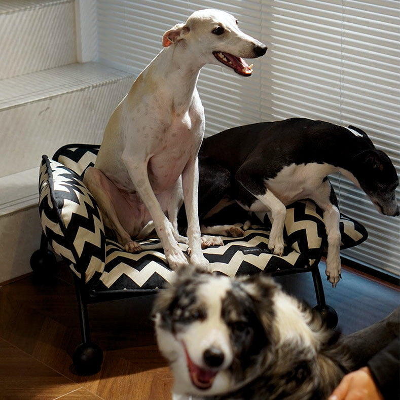 ScritchPets 2 in 1 Pet Sofa Hammock
