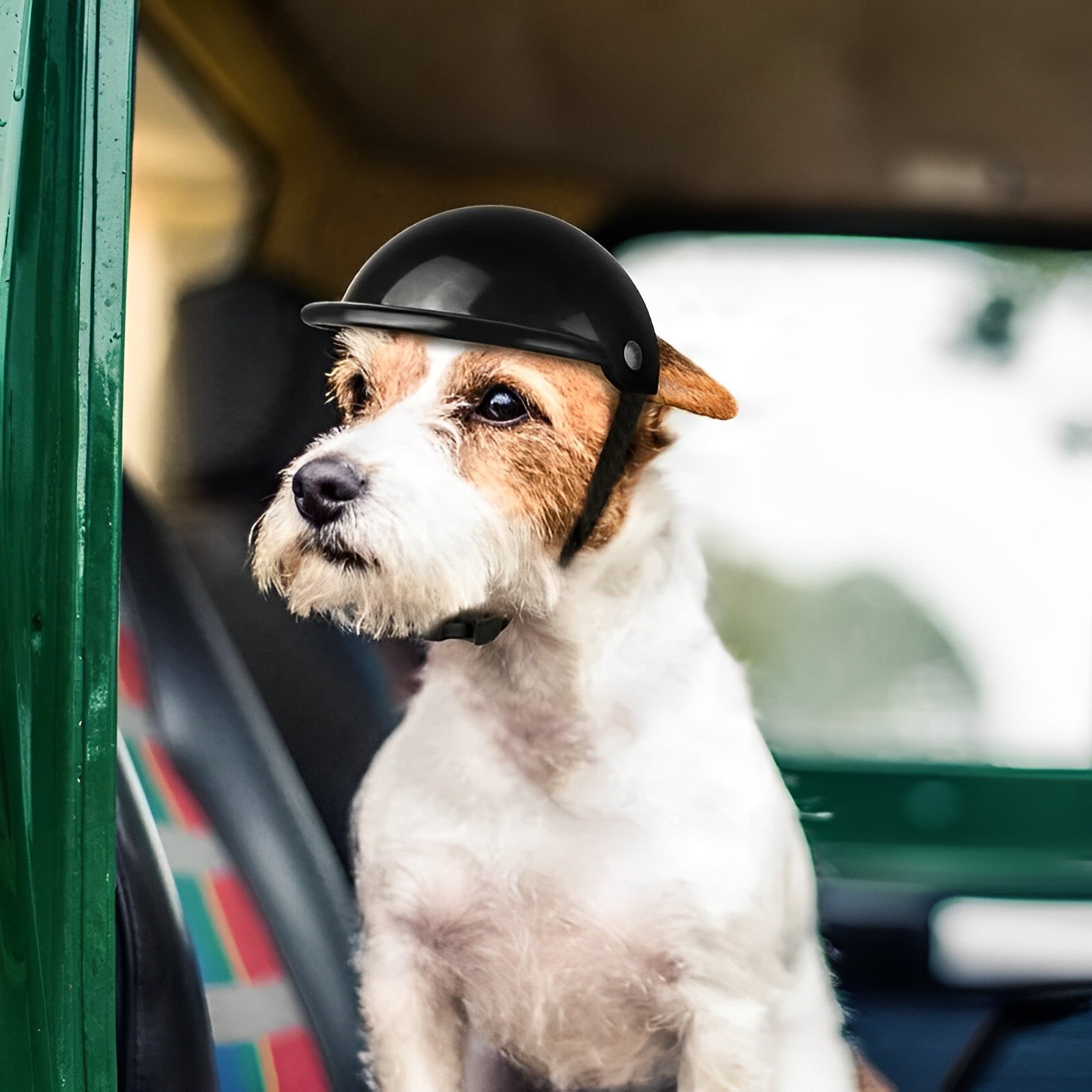 ScritchPets Dog Riding Helmet