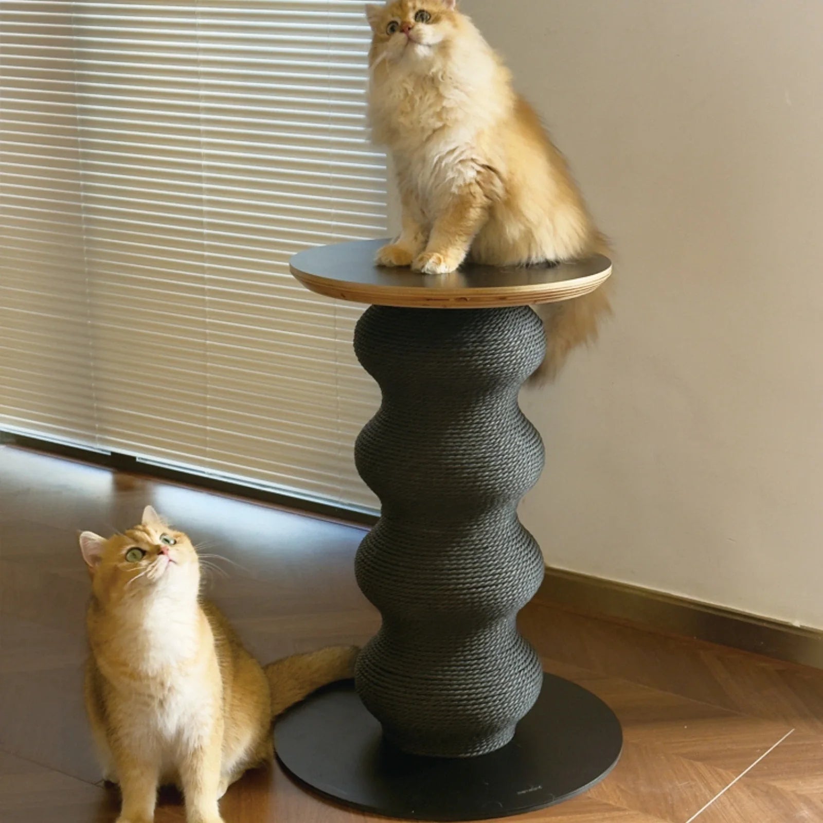 ScritchPets Coral Cat Scratch Table