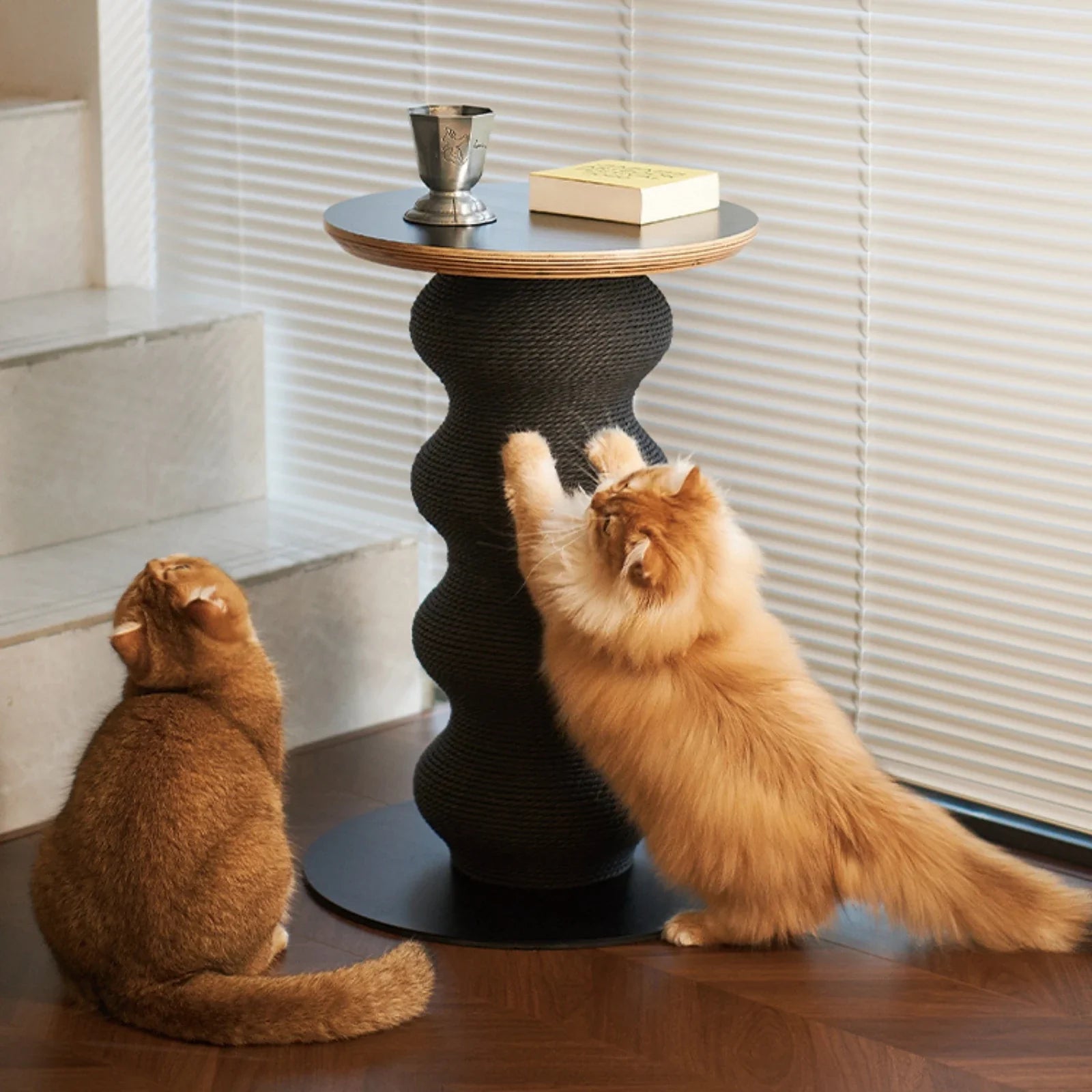 ScritchPets Coral Cat Scratch Table