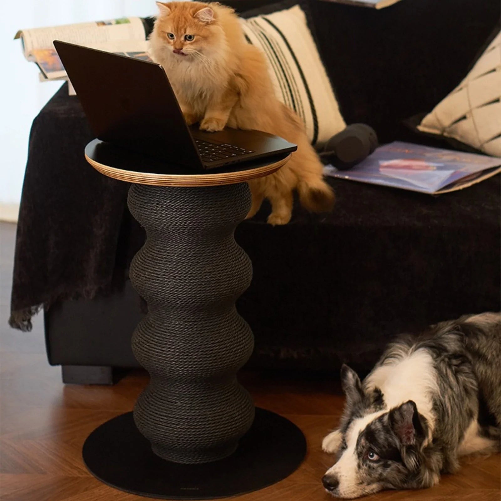 ScritchPets Coral Cat Scratch Table