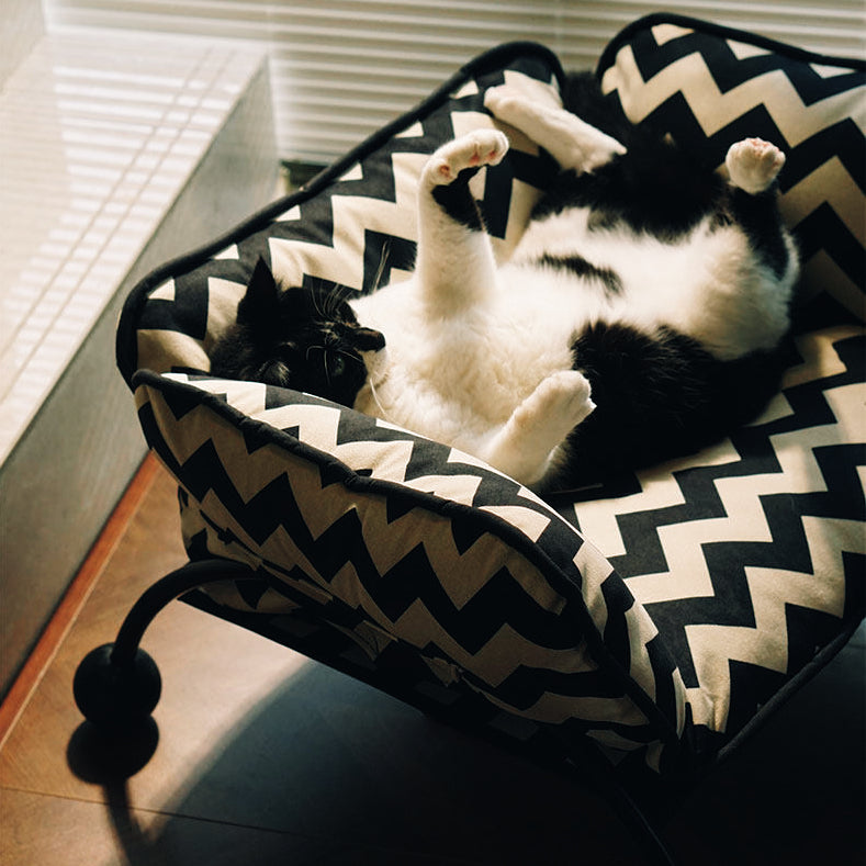 ScritchPets 2 in 1 Pet Sofa Hammock