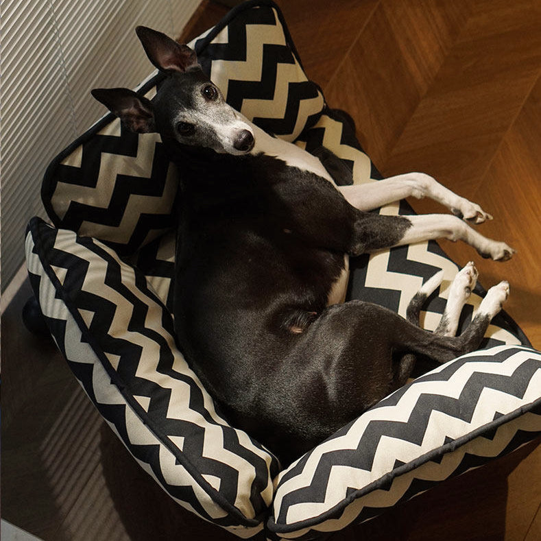 ScritchPets 2 in 1 Pet Sofa Hammock