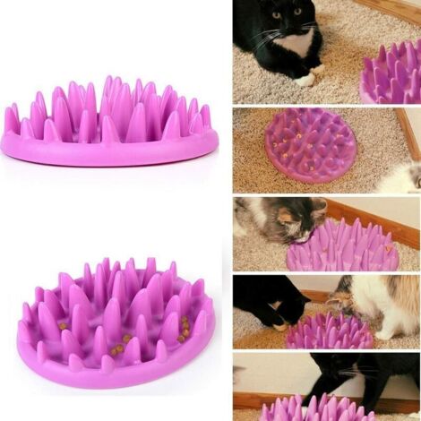 Slow-Feeding Bowl for Dogs and Cats - Prevents Meals from Eating Too Fast (Purple) - 4