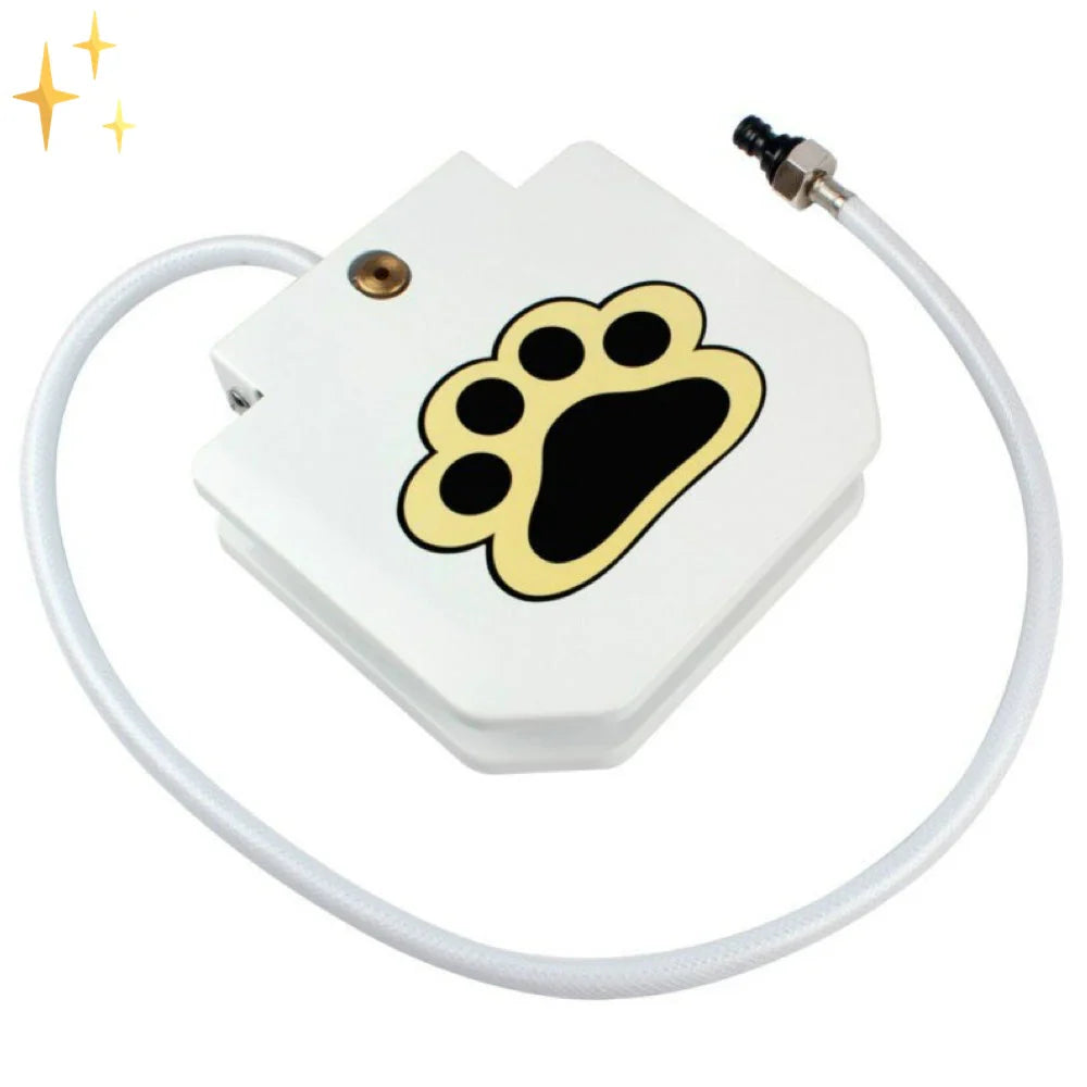 ScritchPets Splash & Play Interactive Dog Water Toy