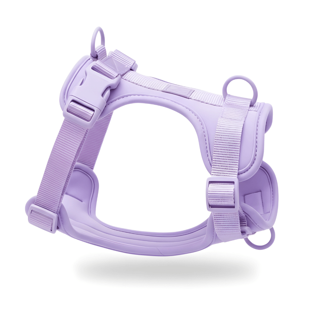 ScritchPets 4 Piece Dog Harness and Lead Set