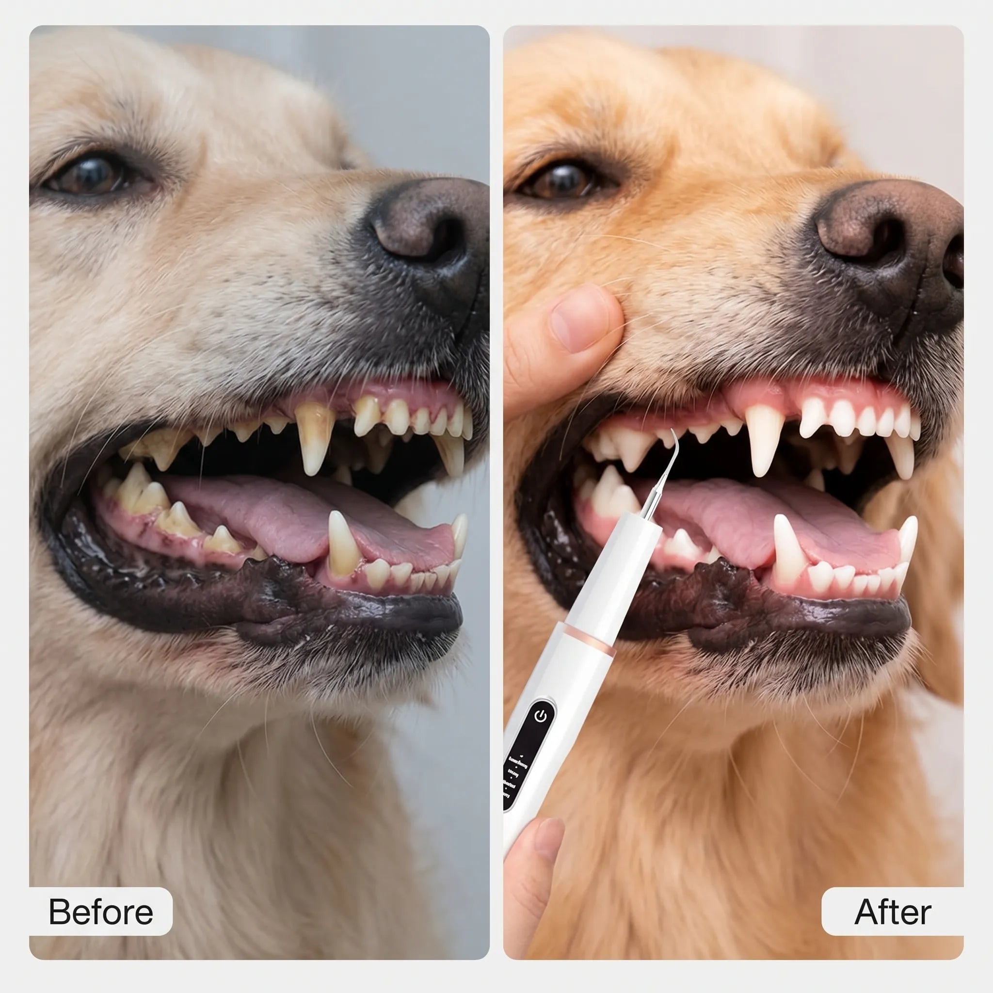 ScritchPets Ultrasonic Dog Dental Scaler