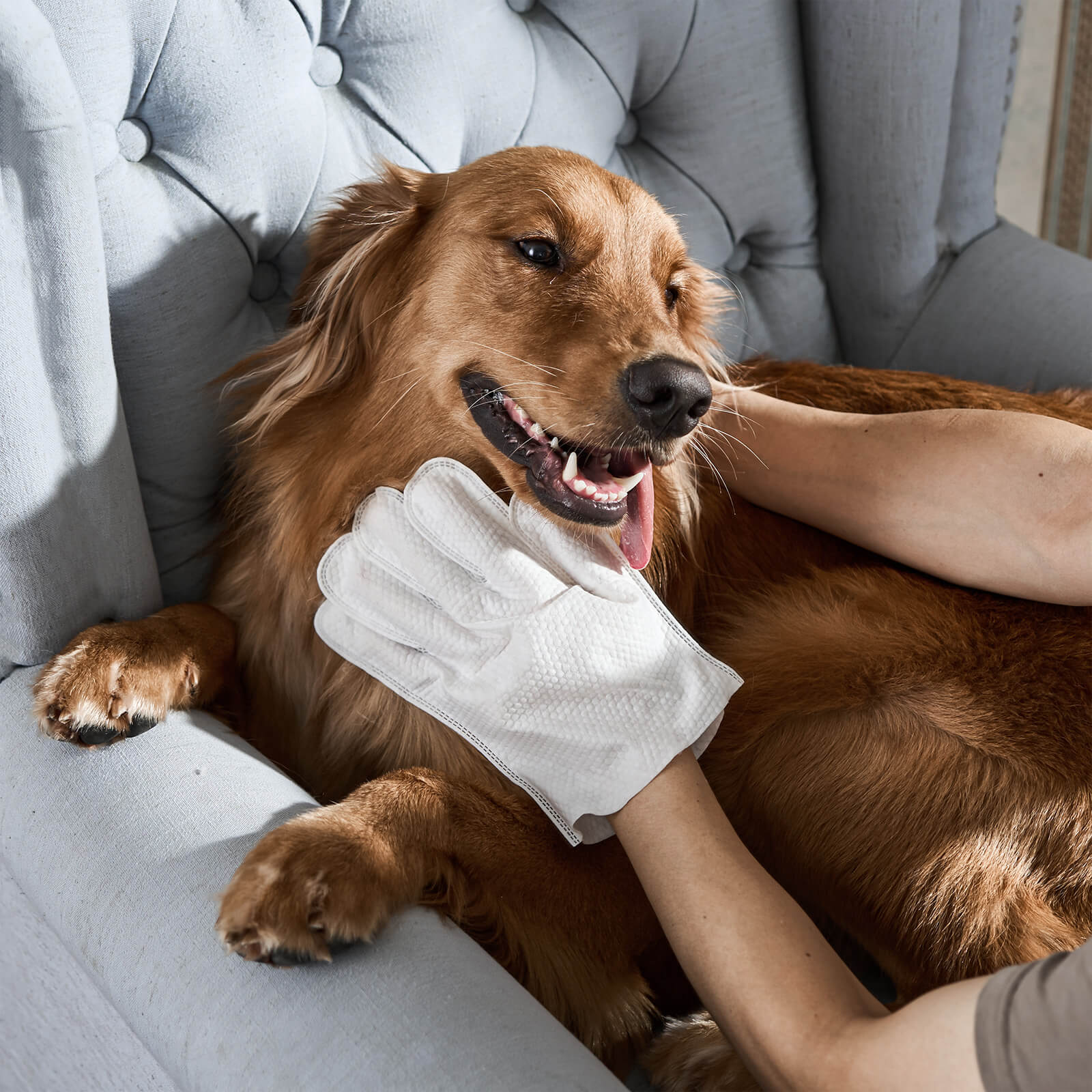 ScritchPets Pet Cleaning Glove Wipes