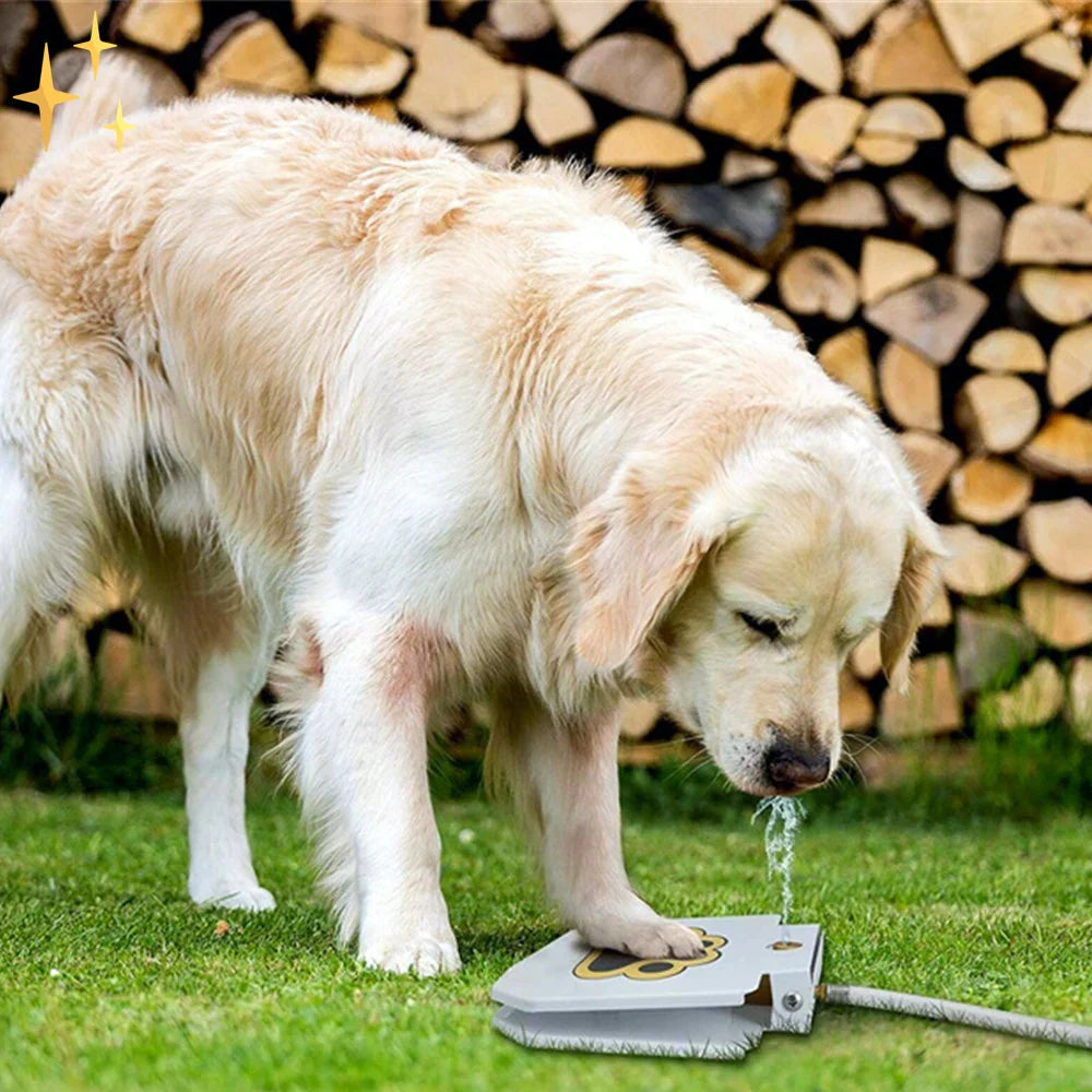 ScritchPets Splash & Play Interactive Dog Water Toy