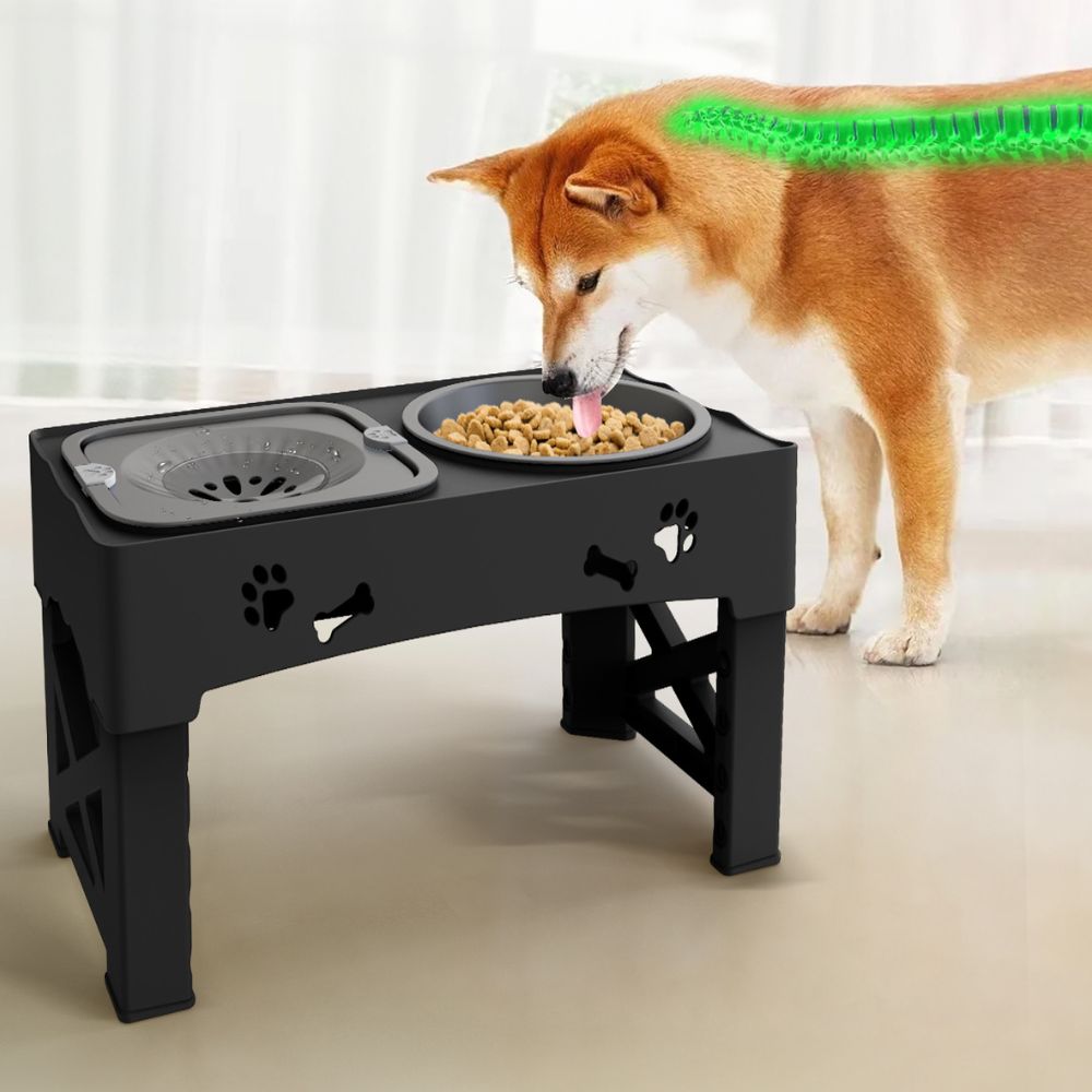 ScritchPets Raised Adjustable Slow Feeder Dog Bowl