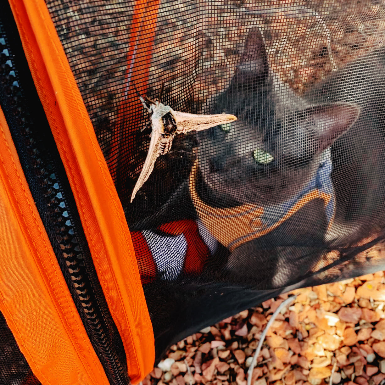 ScritchPets Collapsible Modular Pet Playpen