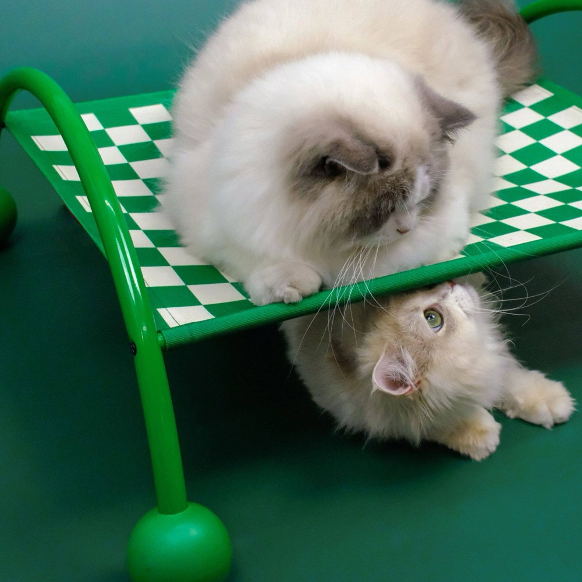 ScritchPets 2 in 1 Pet Sofa Hammock