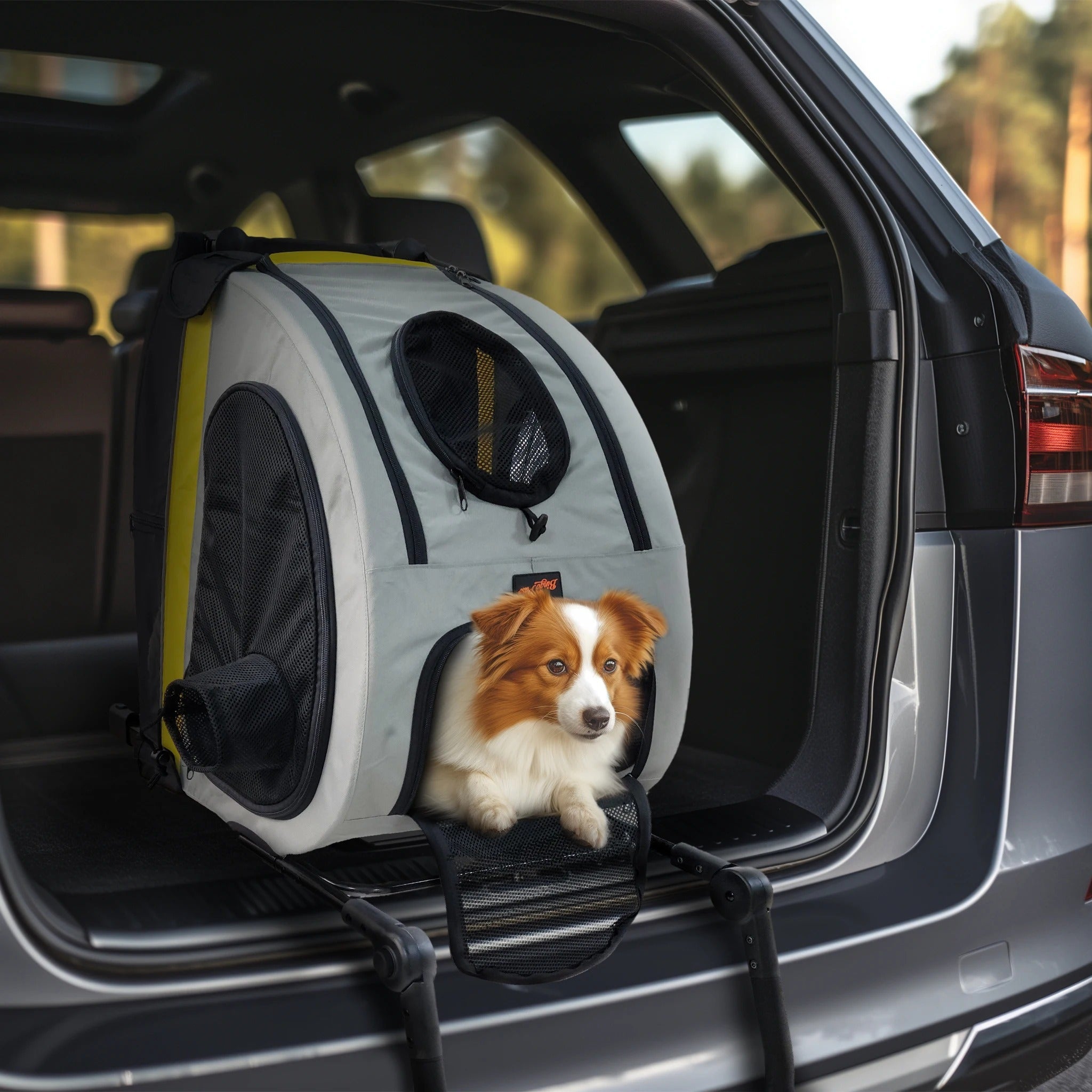 ScritchPets 2 in 1 Convertible Pet Stroller and Car Seat