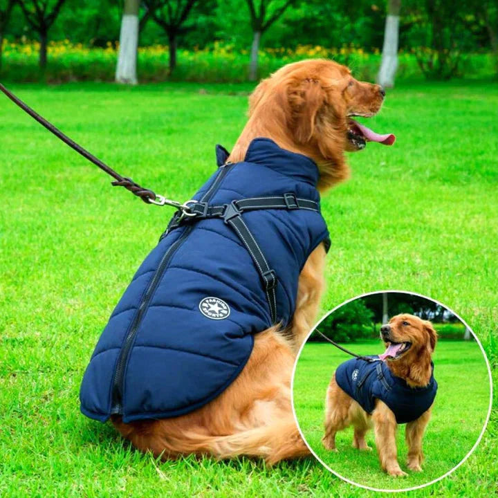 ScritchPets Waterproof Dog Jacket with Harness