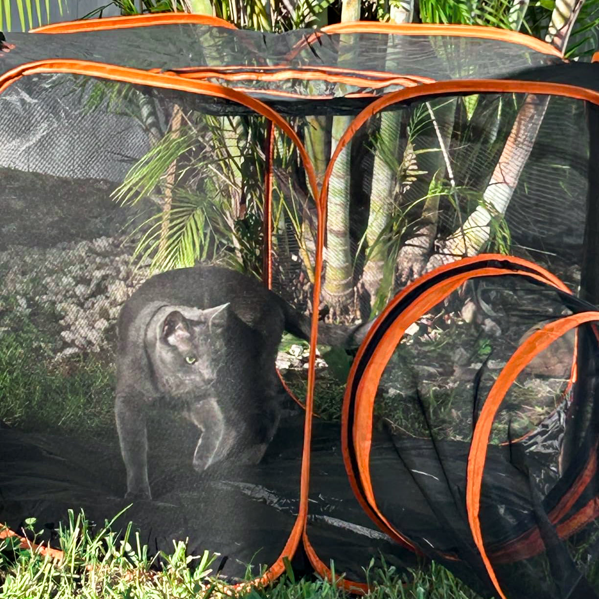 ScritchPets Collapsible Modular Pet Playpen