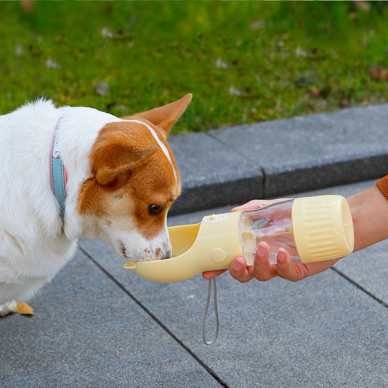 2 in 1 dog water bottle with built-in food container