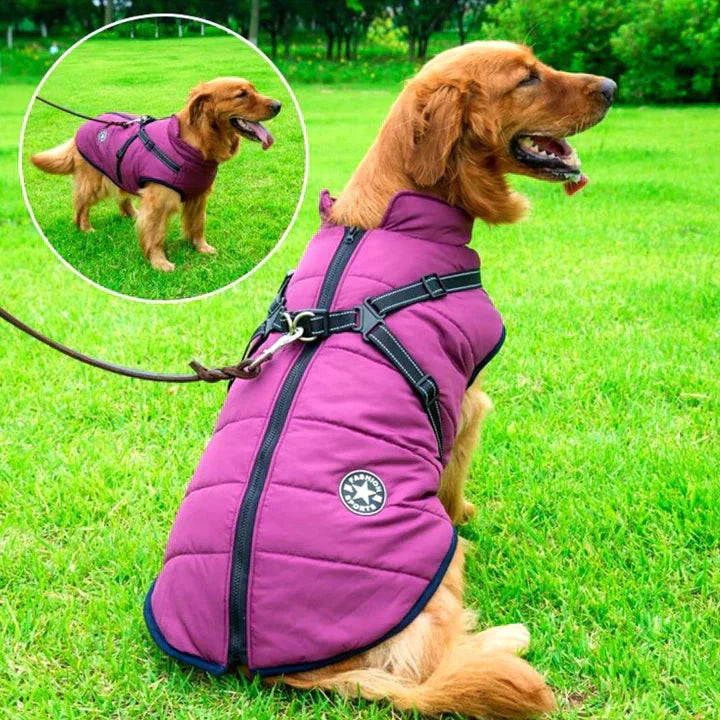ScritchPets Waterproof Dog Jacket with Harness