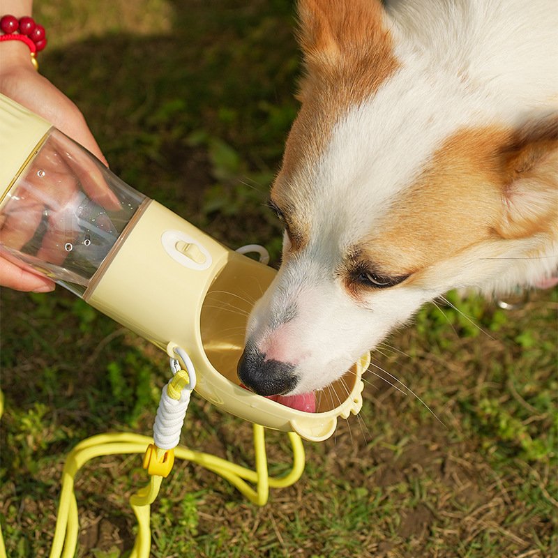 Close-up of leak-proof drinking trough on dog water bottle