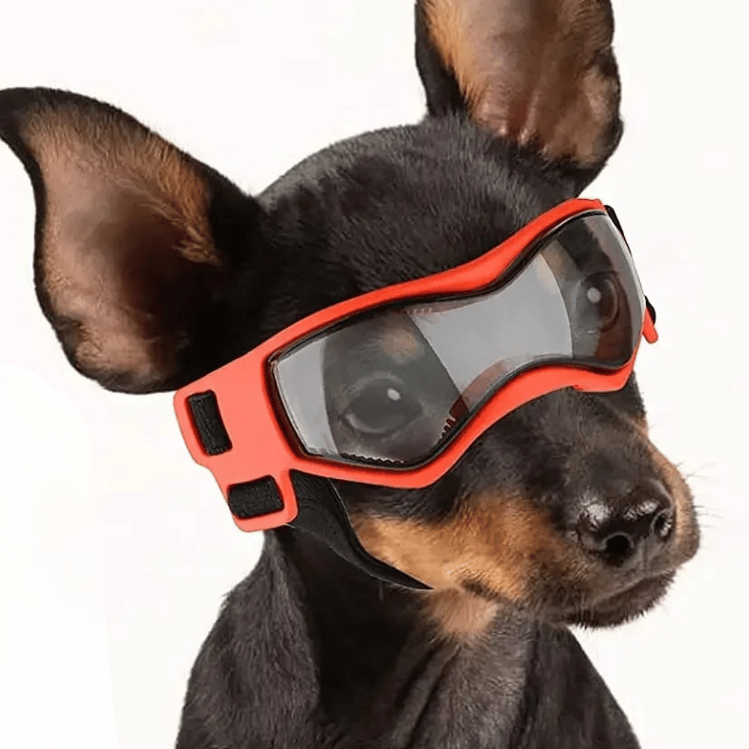 ScritchPets UV Dog Goggles for Small Breeds