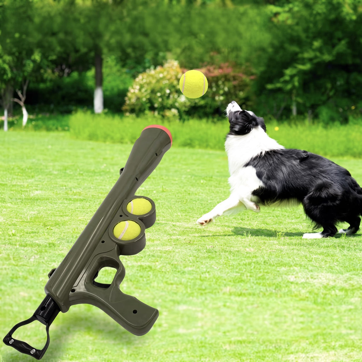 Dog playing outdoors with an automatic tennis ball launcher for interactive fetch exercise