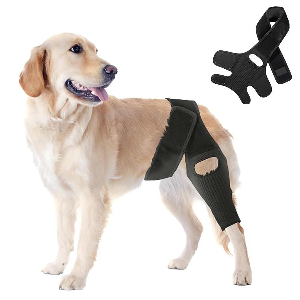 Pawsbetter Everyday Dog ACL Knee Brace, dog knee stability support, adjustable strap detail