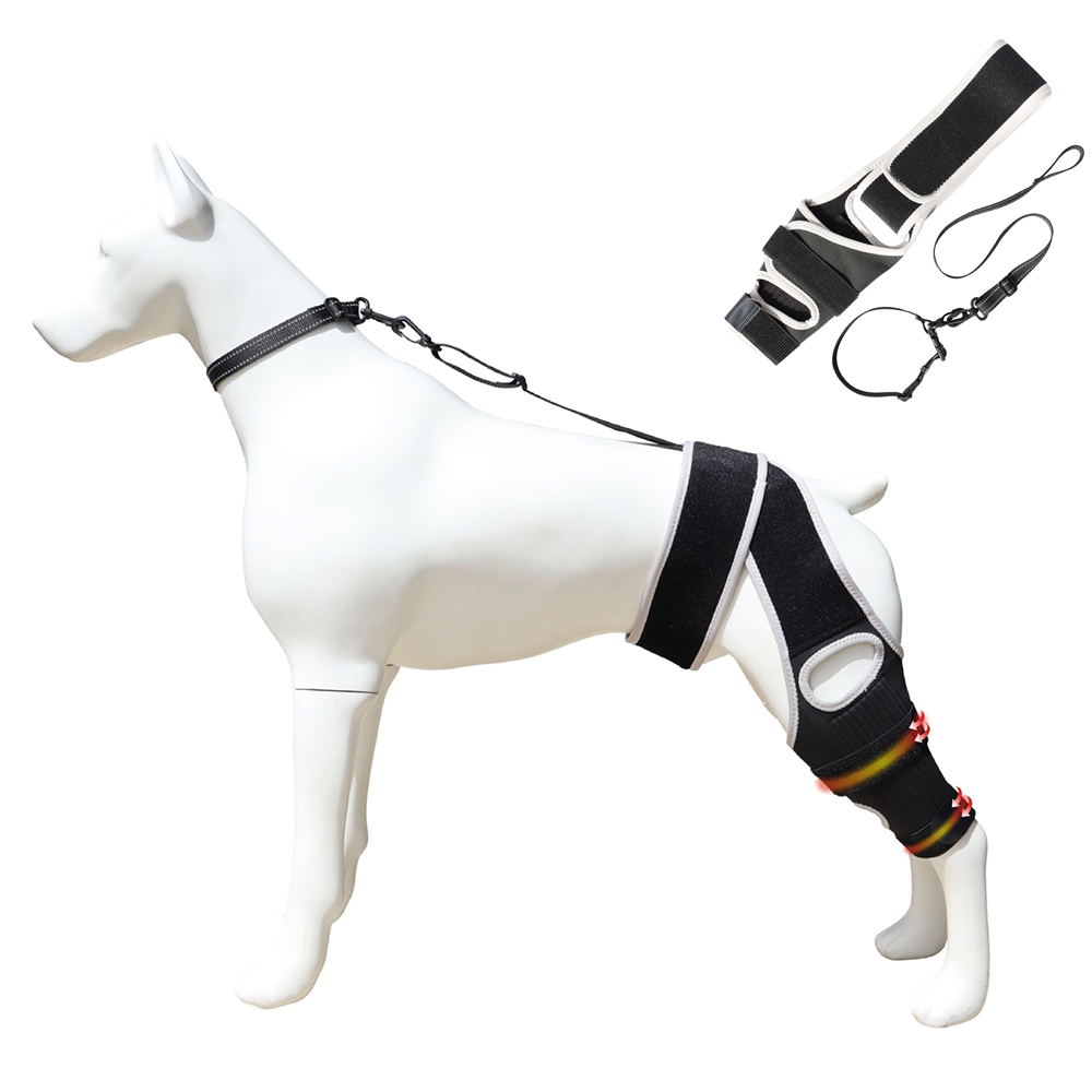 Pawsbetter Everyday Dog ACL Knee Brace, dog knee stability support, product detail close-up