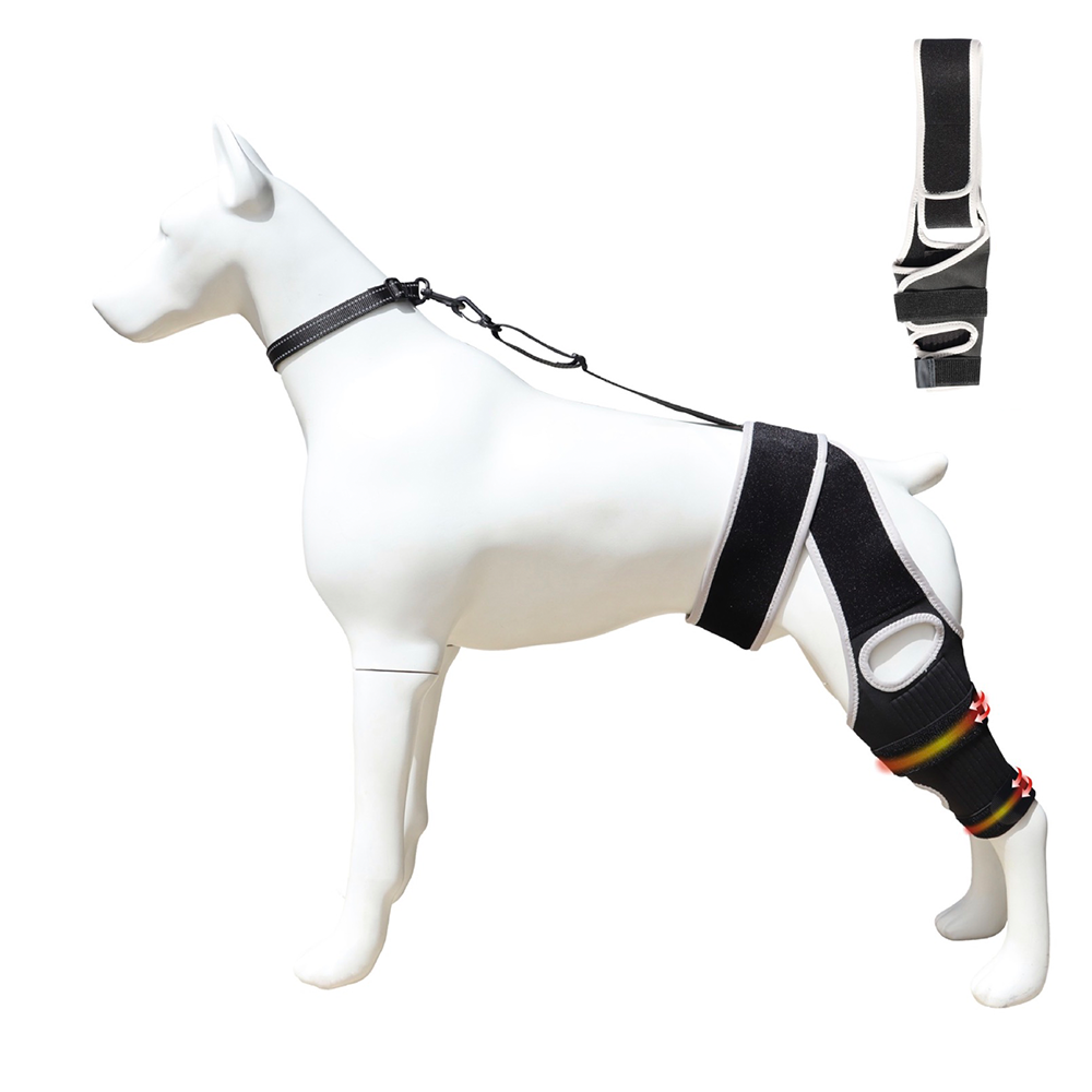 Pawsbetter Everyday Dog ACL Knee Brace, dog knee stability support, compact storage view