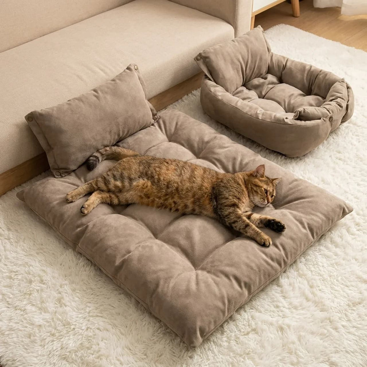 Tabby cat relaxing on a beige tufted pet cushion beside a matching plush bolster bed in a cosy living room.