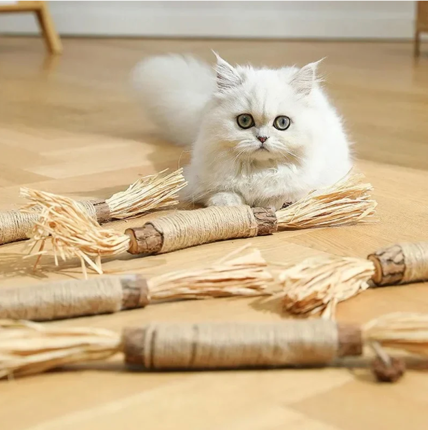 ScritchPets Fresh Dental Sticks
