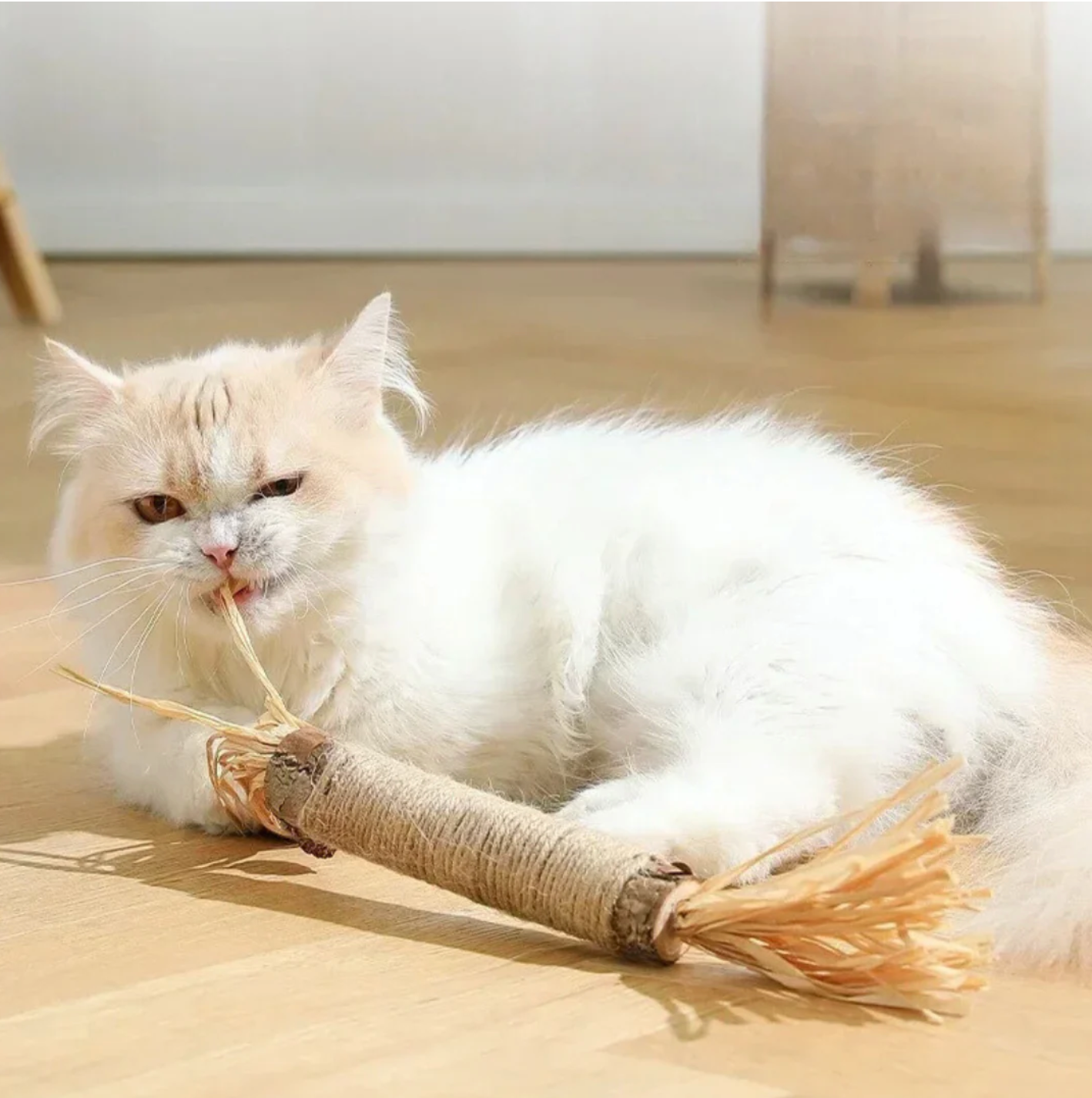 ScritchPets Fresh Dental Sticks