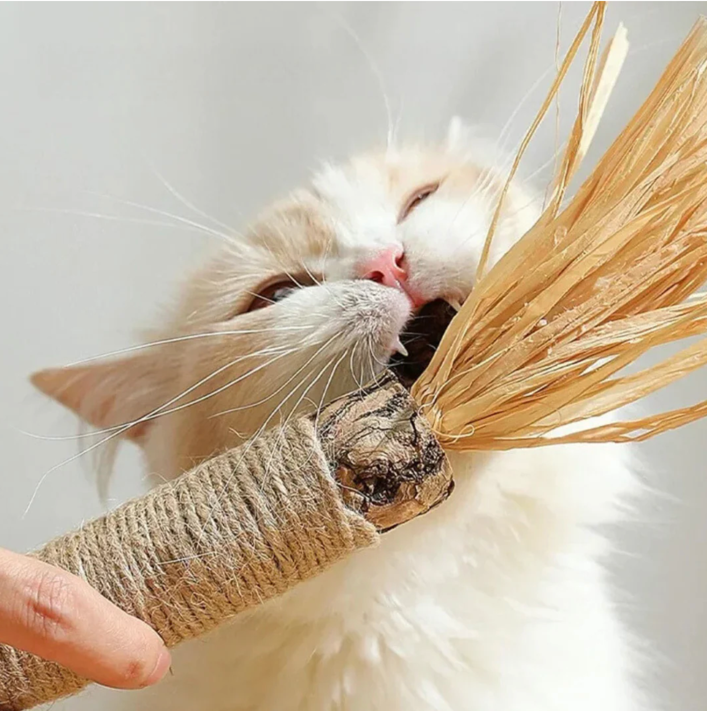 ScritchPets Fresh Dental Sticks
