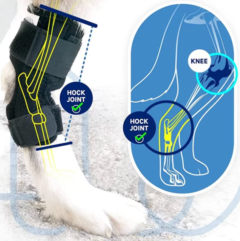 ScritchPets Dog Leg Support Wrap