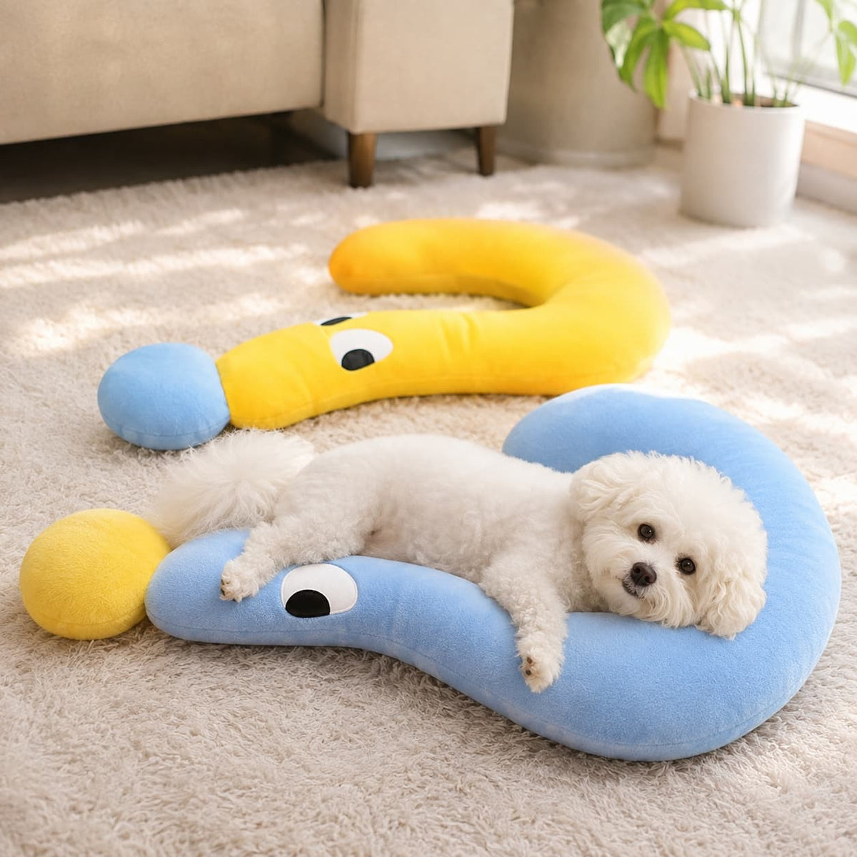 Small white dog relaxing comfortably on a soft blue curved plush pet bed in a bright modern living room