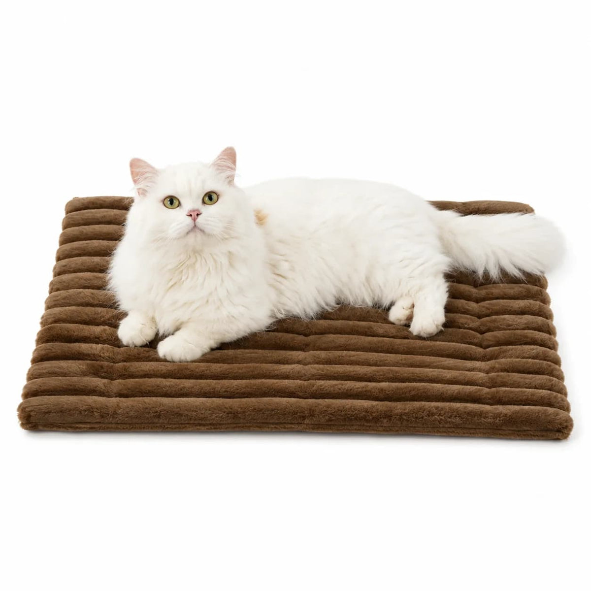 White cat relaxing on a soft brown self warming pet mat displayed on a clean white background