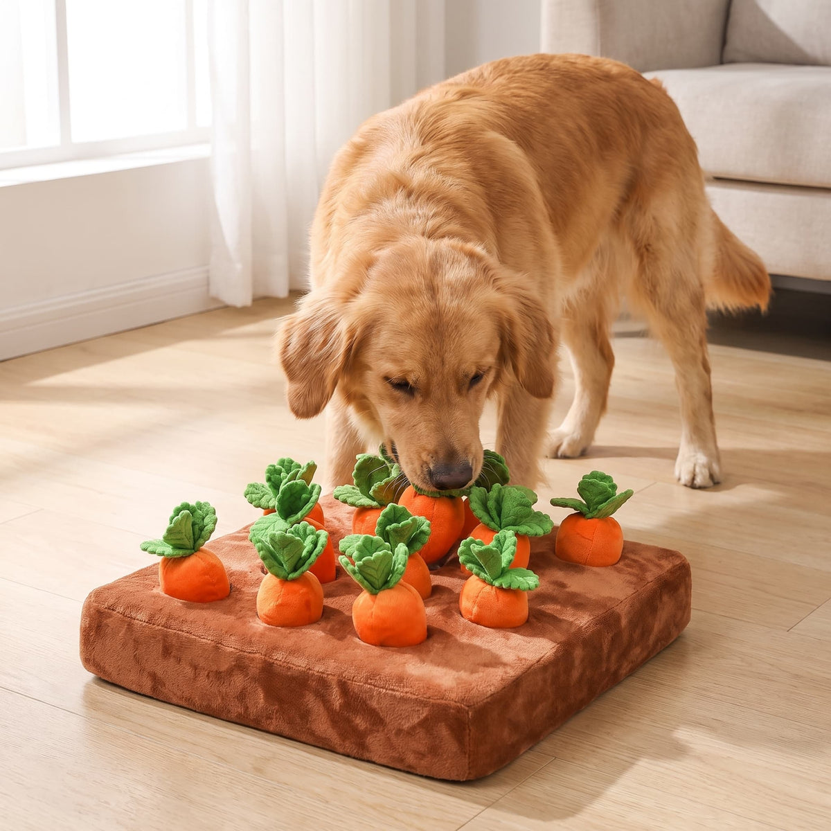 Golden Retriever sniffing and searching through a plush carrot garden snuffle mat for hidden treats at home