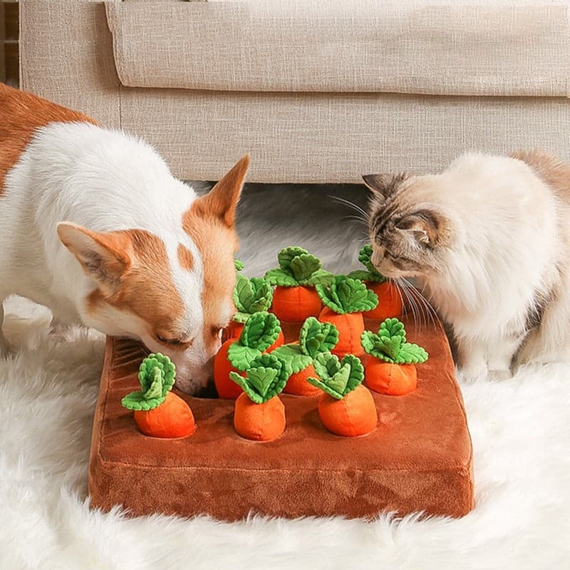 Dog and cat exploring a plush carrot garden snuffle mat together while searching for hidden treats