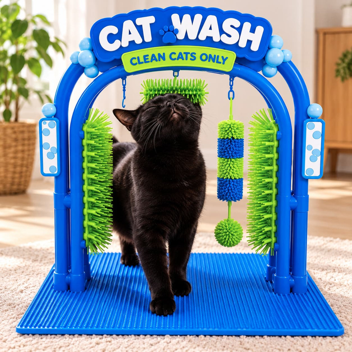 Black cat using a blue self grooming arch with multiple green grooming brushes