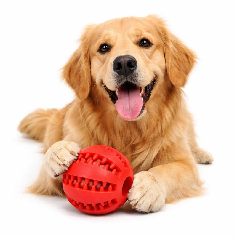 ScritchPets Dog Chewing Interactive Rubber Ball Toy