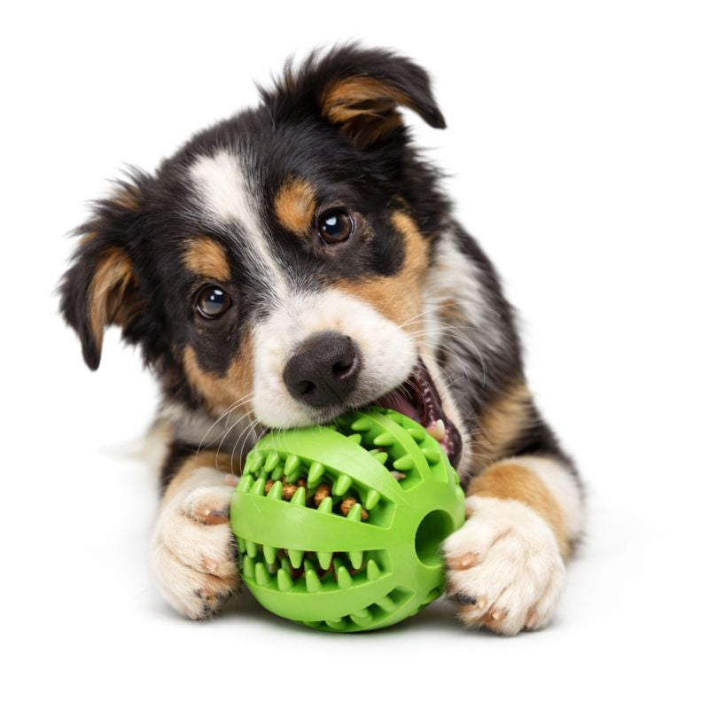 ScritchPets Dog Chewing Interactive Rubber Ball Toy