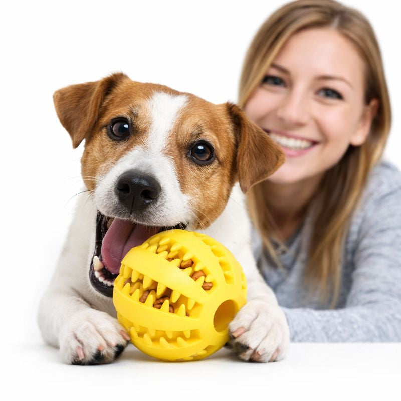 ScritchPets Dog Chewing Interactive Rubber Ball Toy