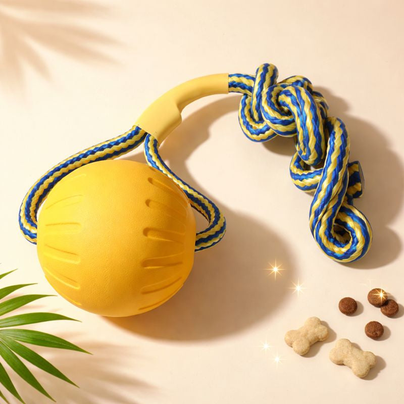 ScritchPets Dog Toy Bundle 4-Pack – EVA Flying Disc, Ball & Tug Rope