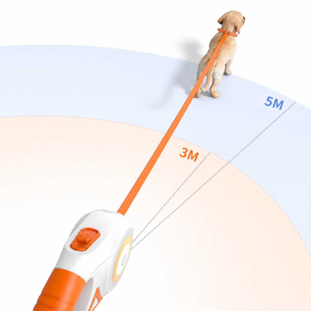 ScritchPets LED Retractable Dog Leash 5m