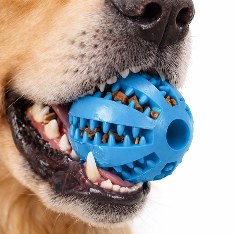 ScritchPets Dog Chewing Interactive Rubber Ball Toy