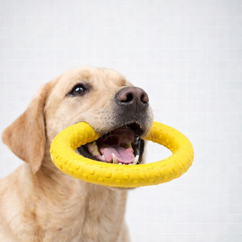 ScritchPets Dog Toy Bundle 4-Pack – EVA Flying Disc, Ball & Tug Rope