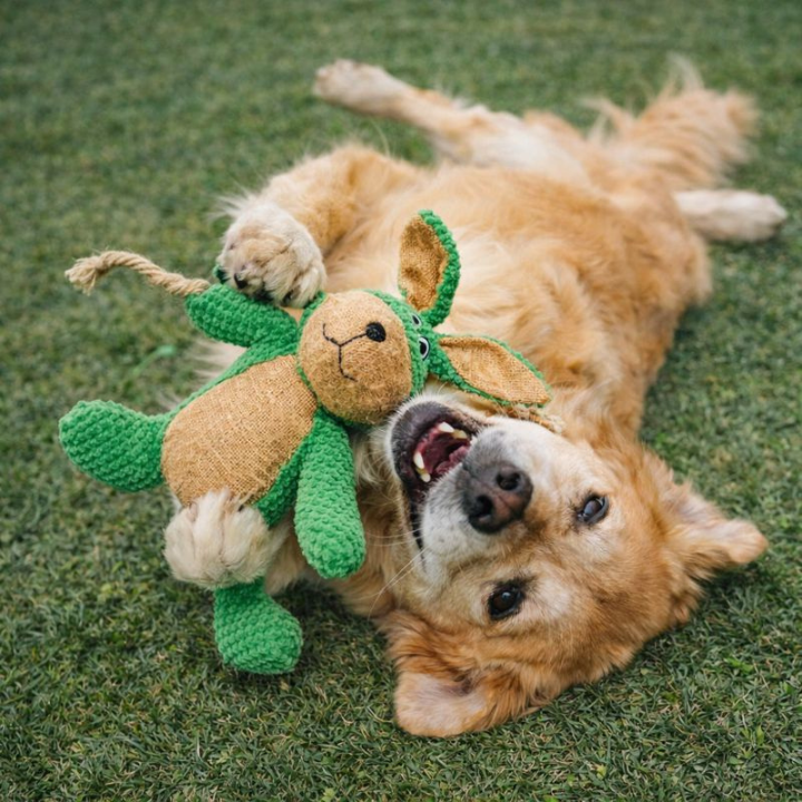 ScritchPets Tough Plush Dog Chew Toy